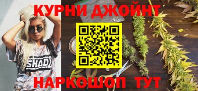 стафф Берёзовский