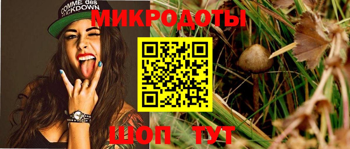 Клинцы  Псилоцибиновые грибы GOLDEN TEACHER  Вход с VPN 